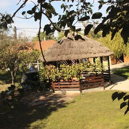 Pensjonat Grindul Lupilor Mihai Viteazu (Constanta)